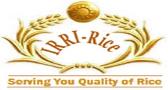 IRRI Rice